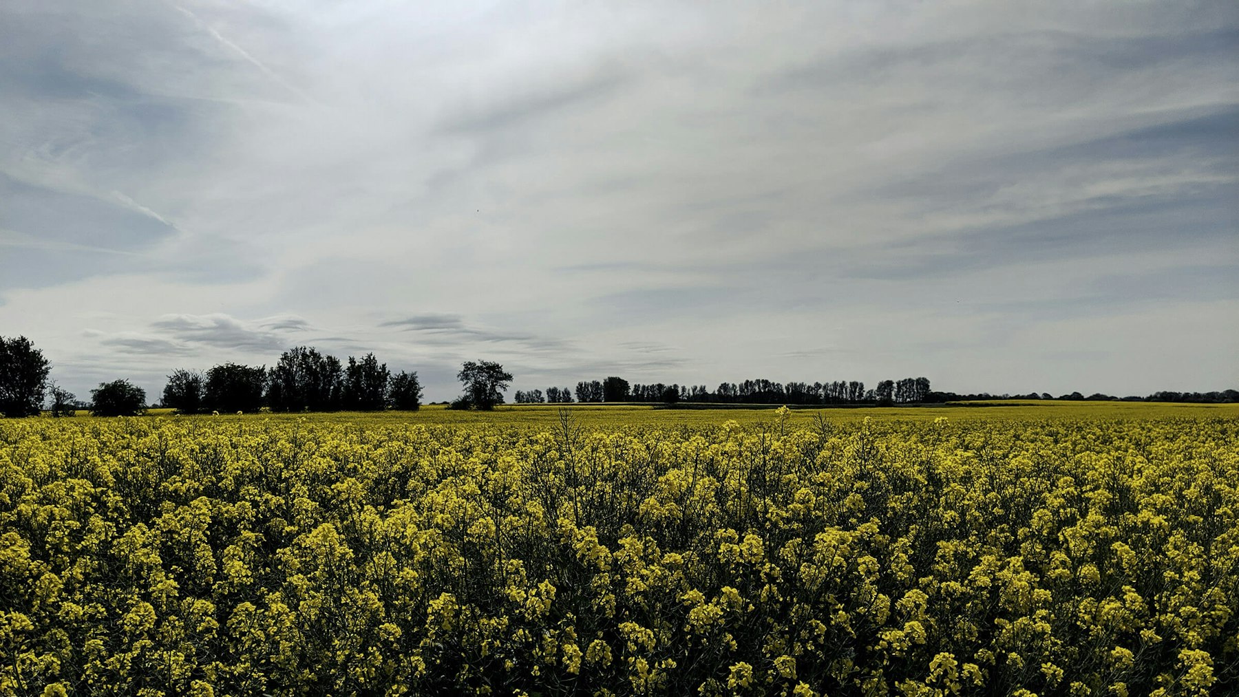 Så fungerar GTP tjänstepension – en guide