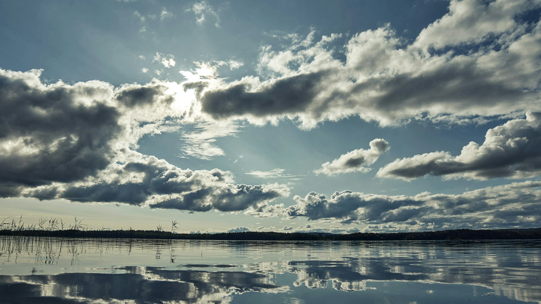 Lannebo Teknik Småbolag, Globalfond