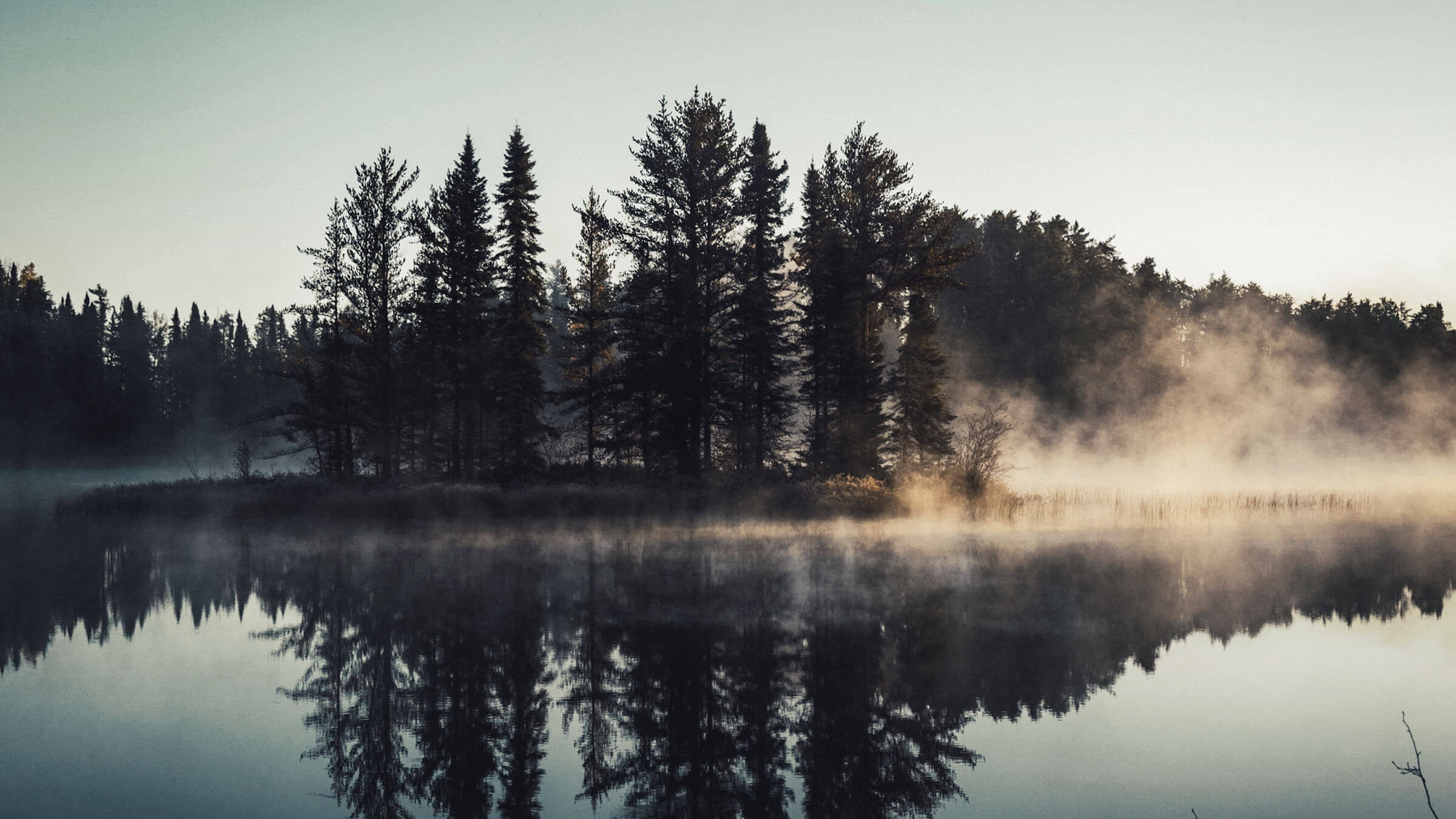 juan-davila-P8PlK2nGwqA-unsplash2