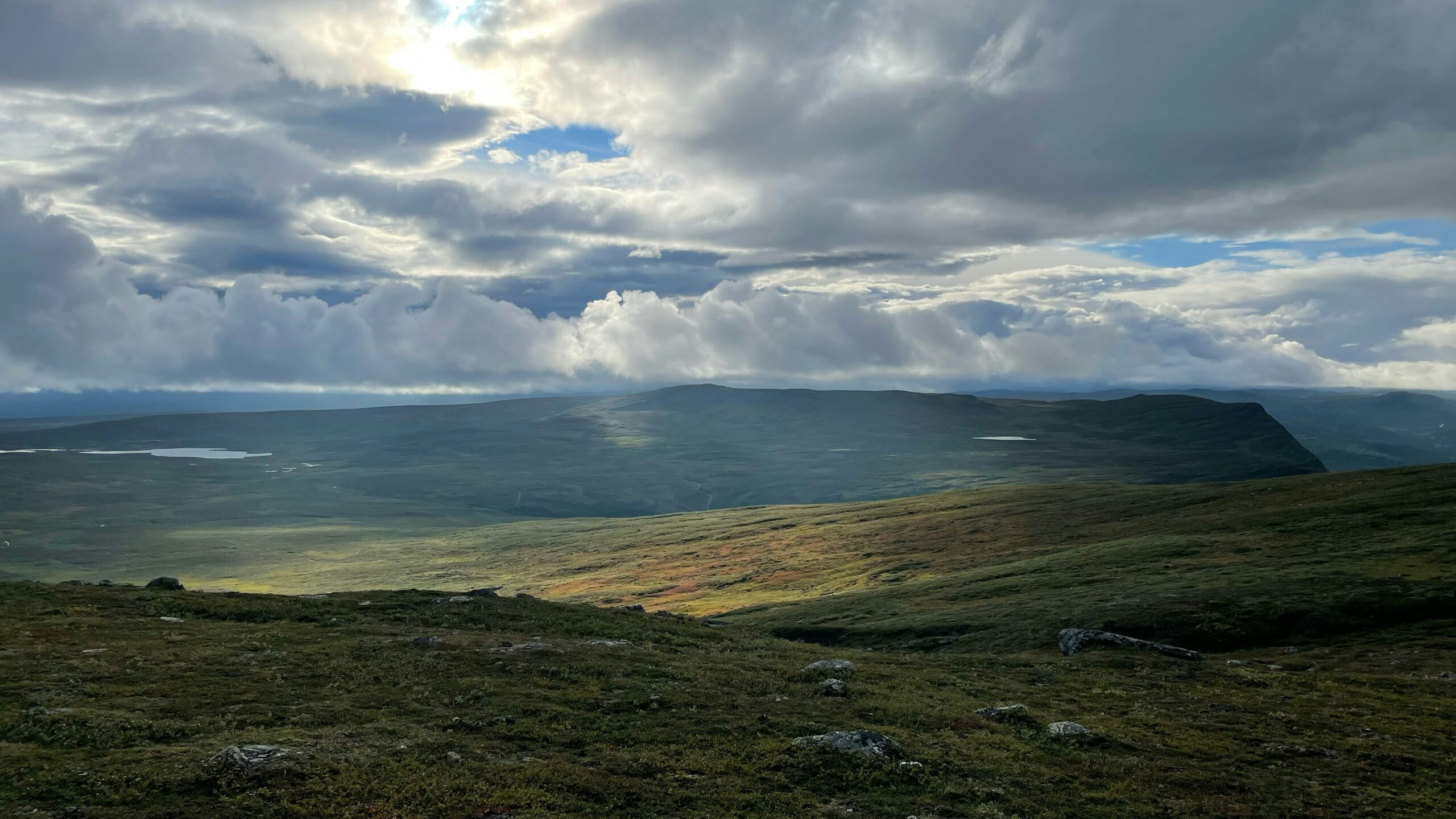 anders-noren-WU4gfzQ8j_E-unsplash