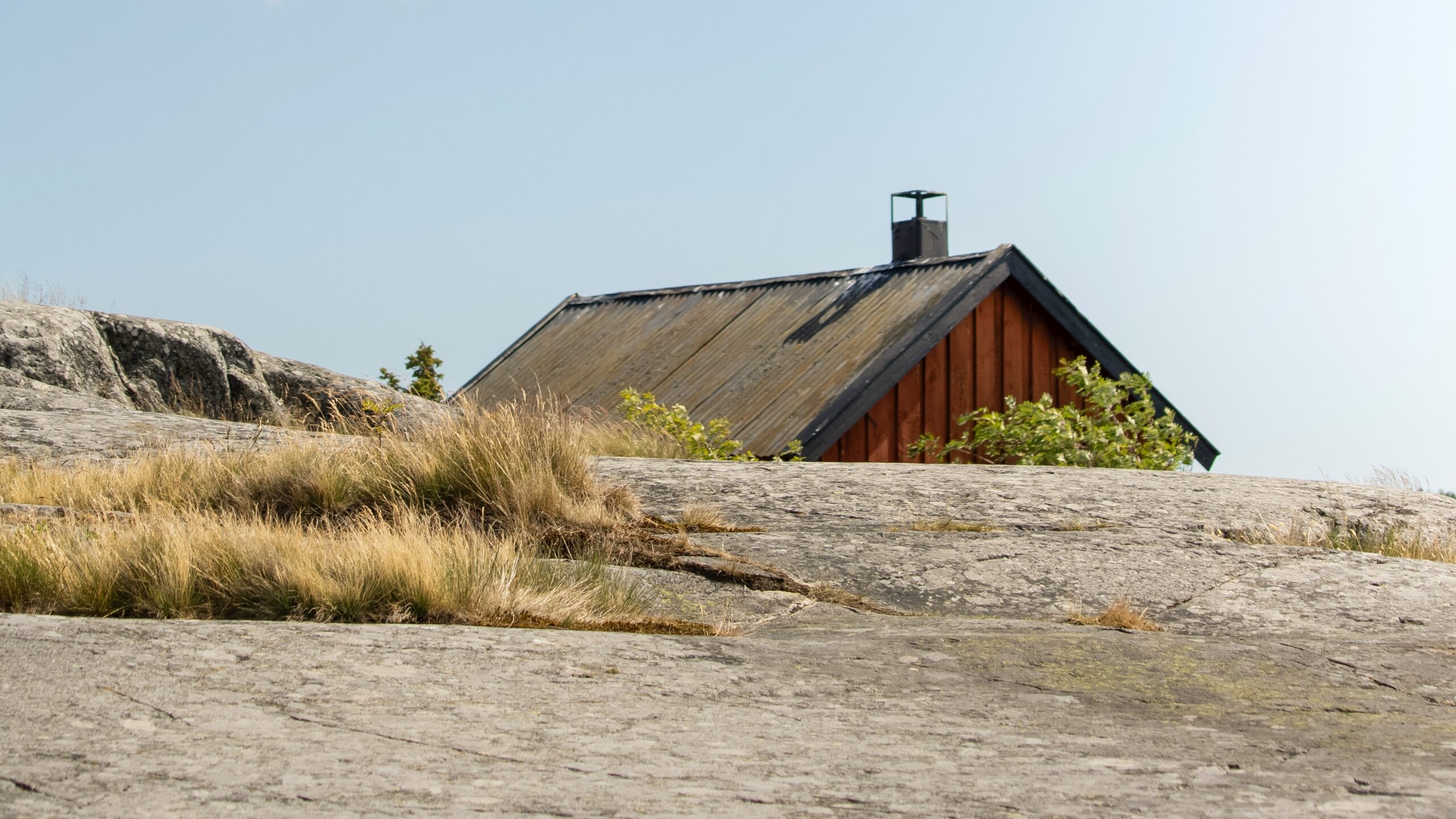 lena-polishko-MSQAVcZD7bY-unsplash