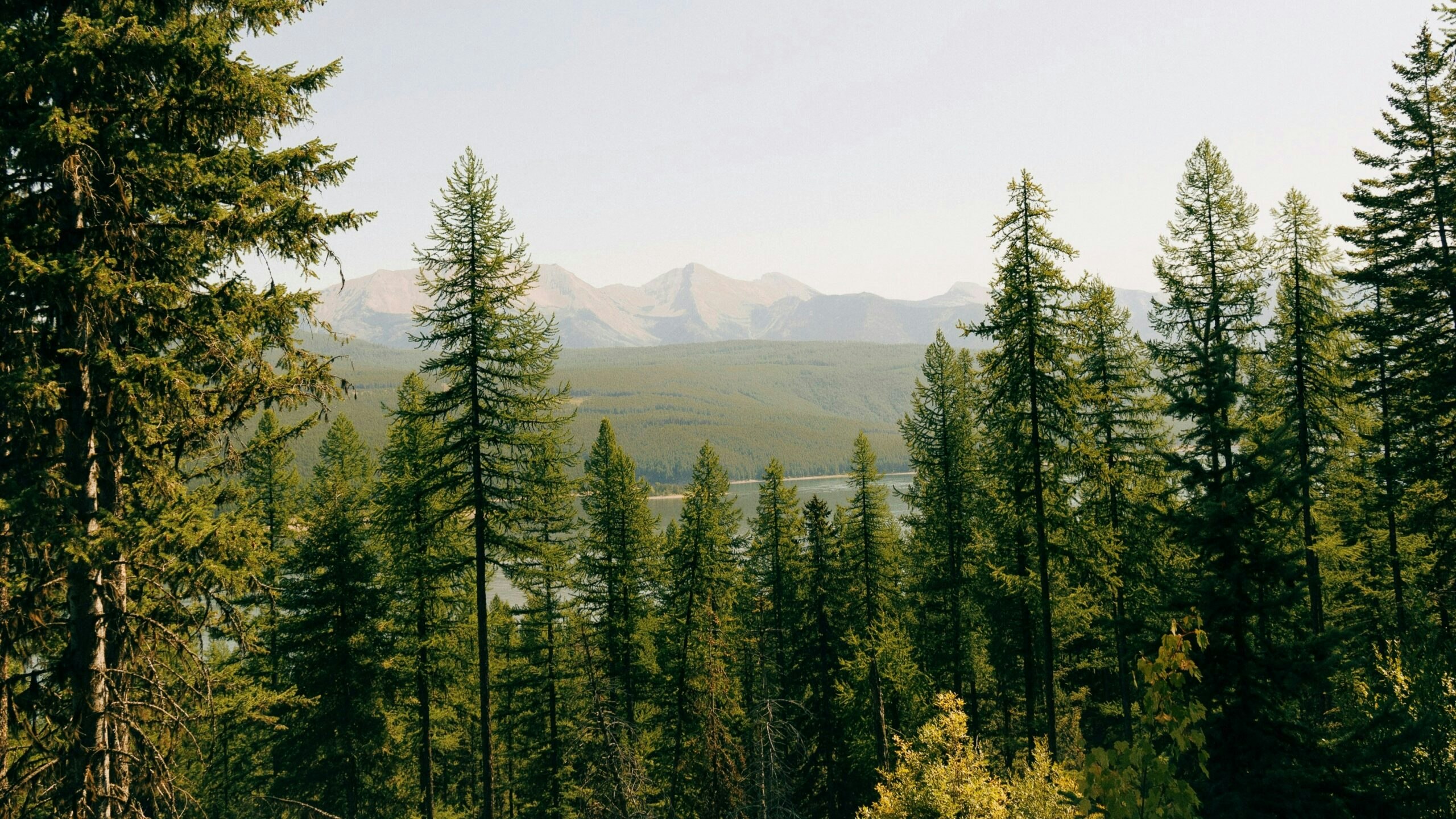 hans-isaacson-RWF0zLjKyYs-unsplash