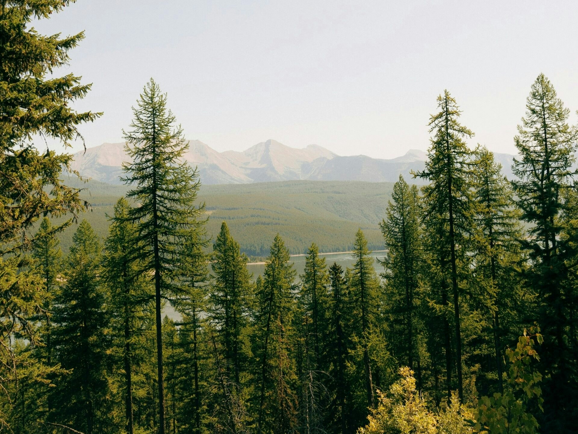 hans-isaacson-RWF0zLjKyYs-unsplash