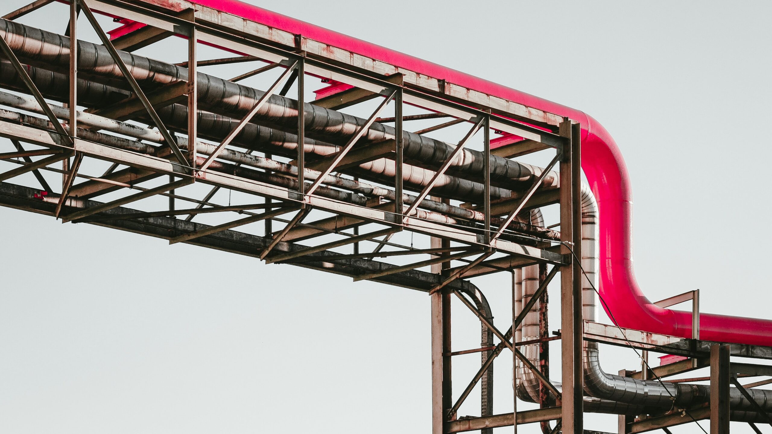 martin-adams-a_PDPUPuNZ8-unsplash