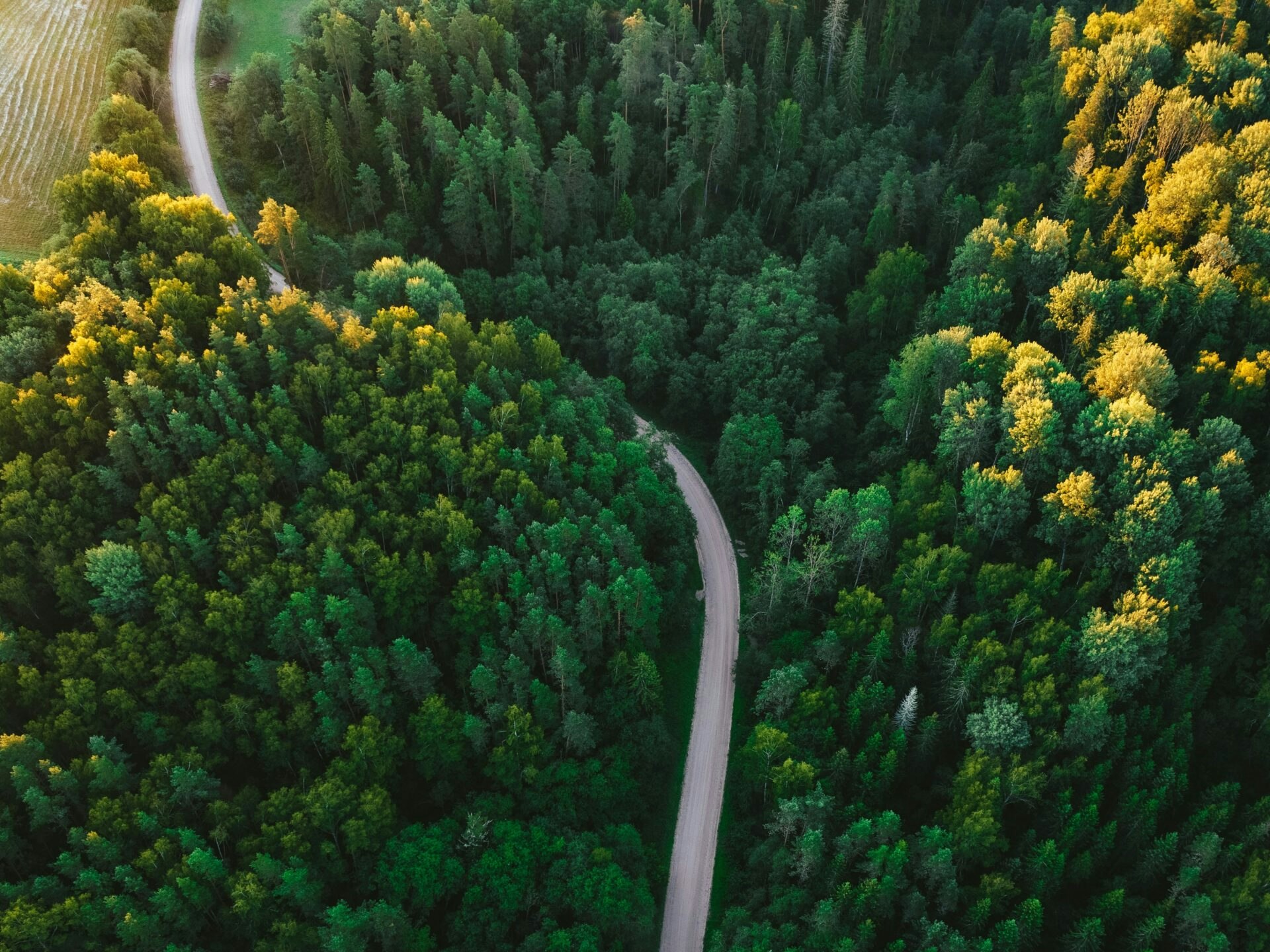 unsplash-community-oYqix81A4bg-unsplash
