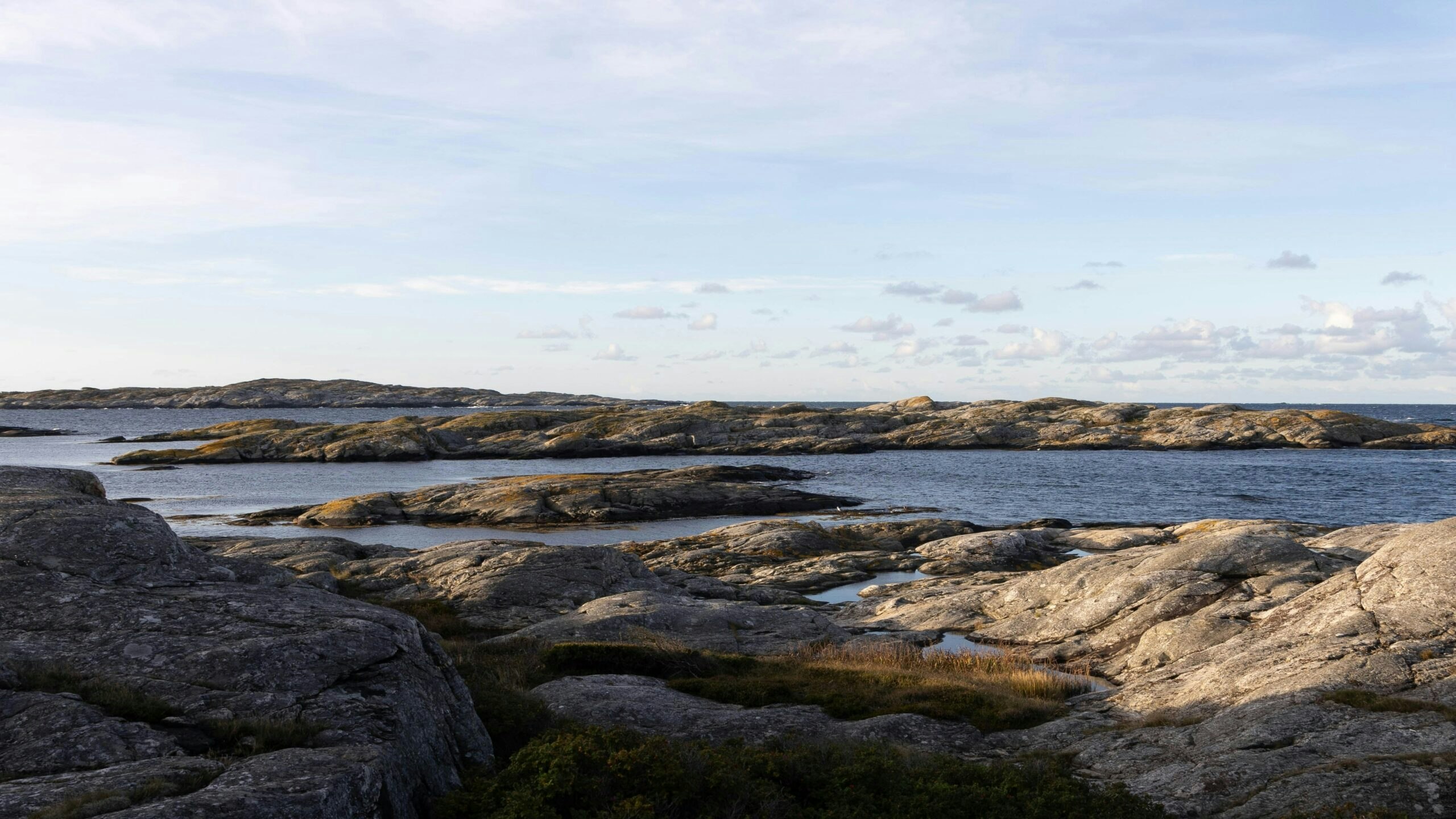 simon-n-aPm3uEAYThA-unsplash (1)