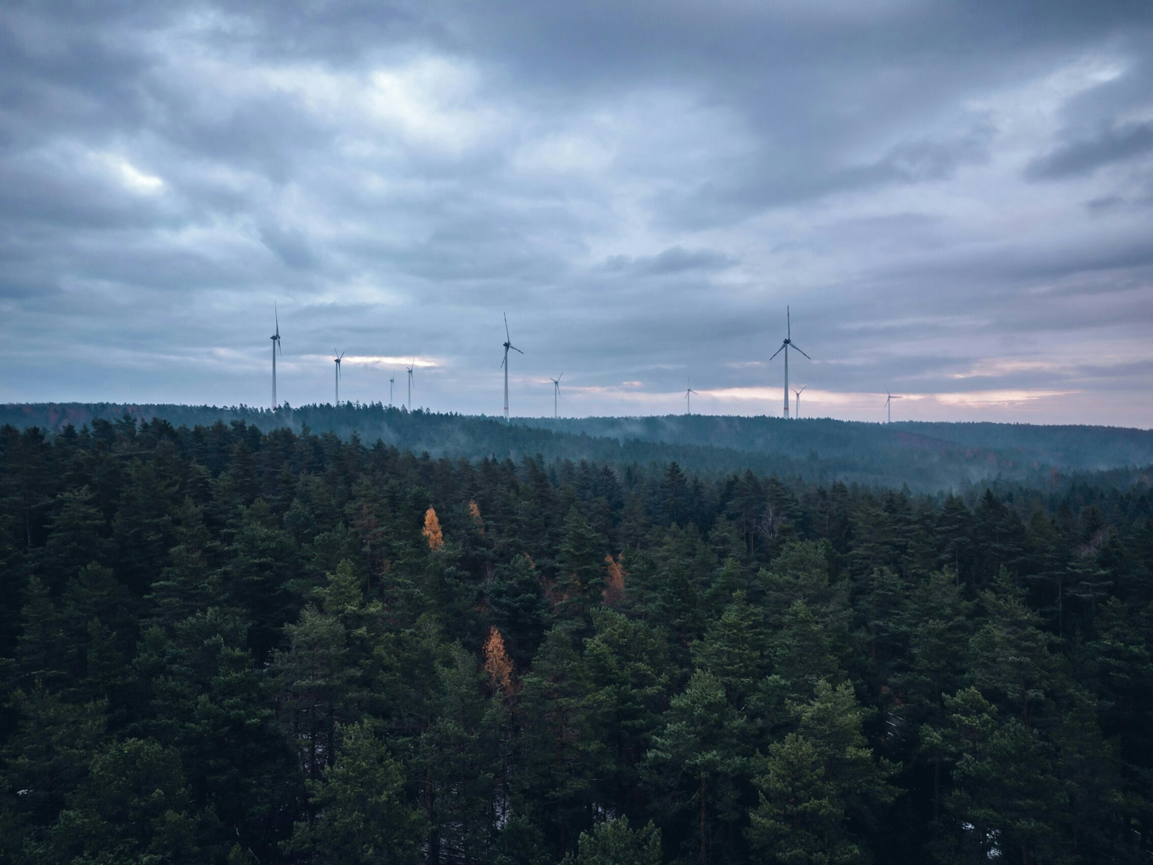 frank-albrecht-0-tWaJCHIGM-unsplash