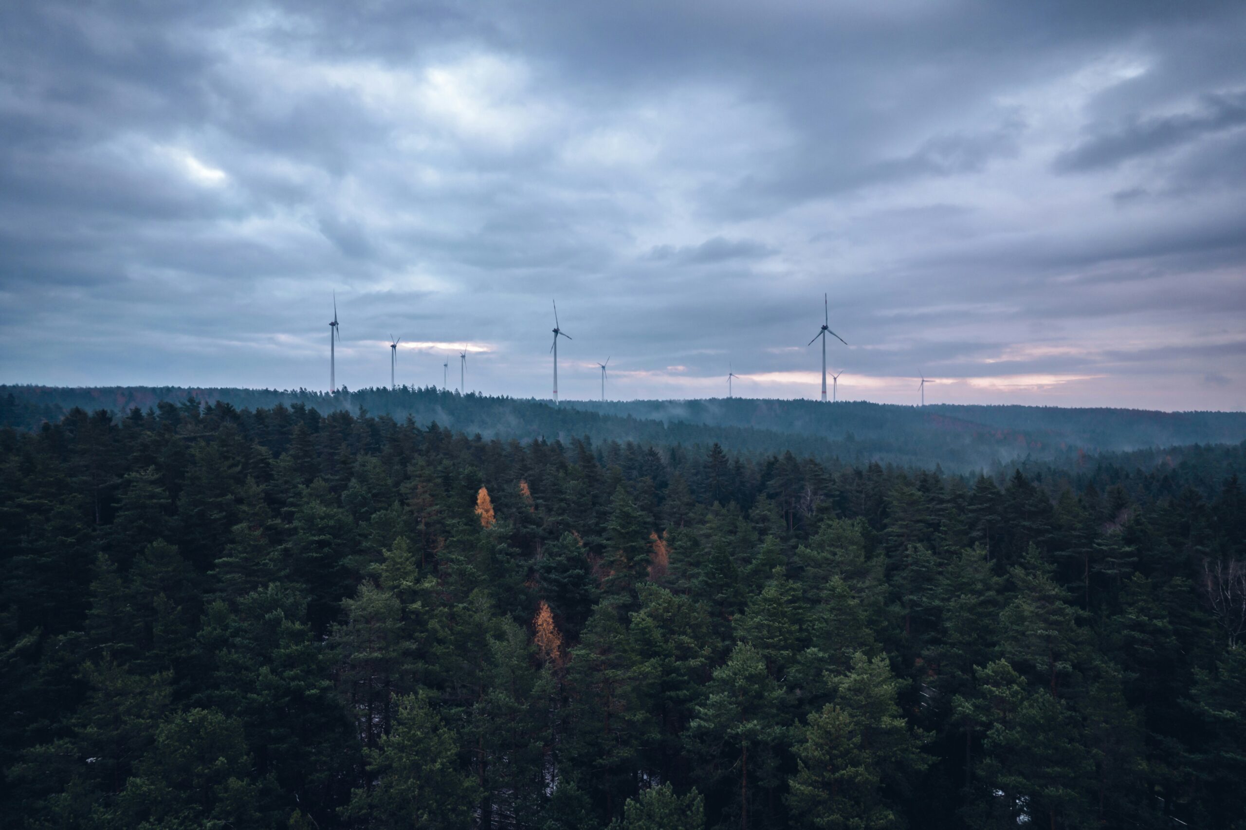 frank-albrecht-0-tWaJCHIGM-unsplash