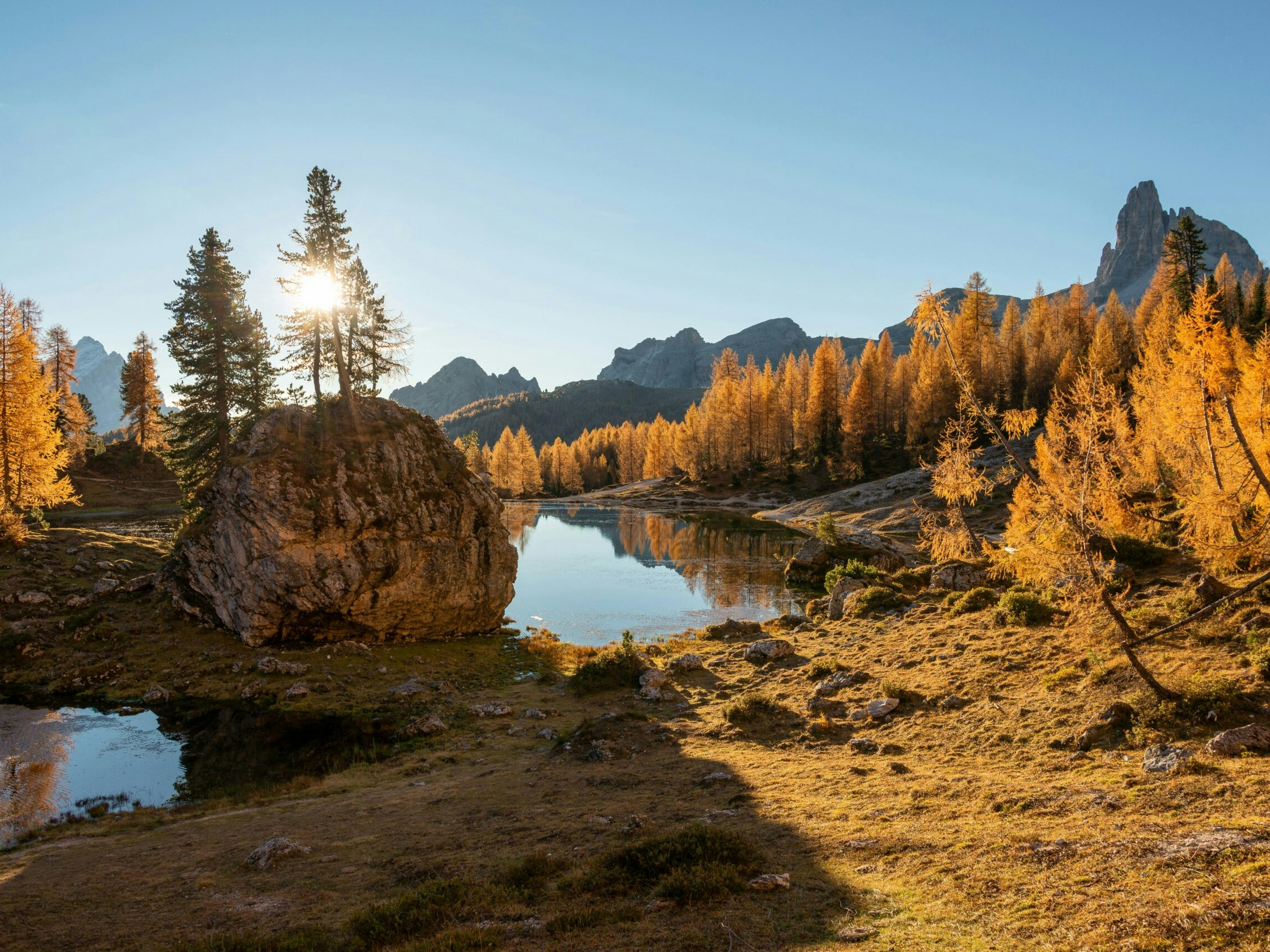 ales-krivec-QrNrbSe0_DM-unsplash