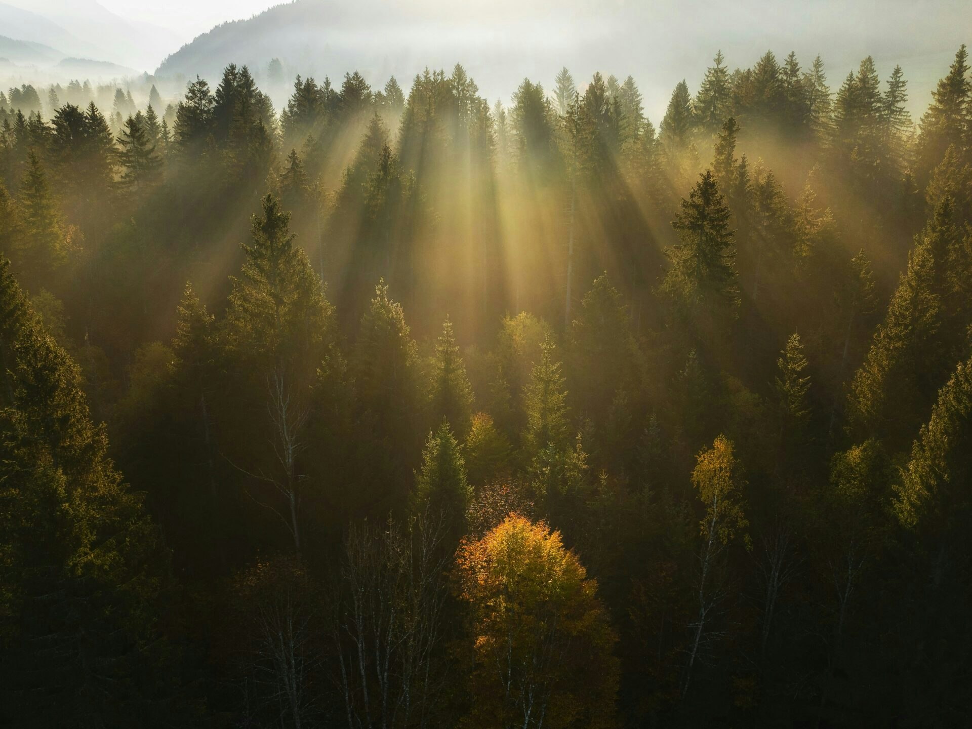 ales-krivec-zCnO4pgnQNw-unsplash