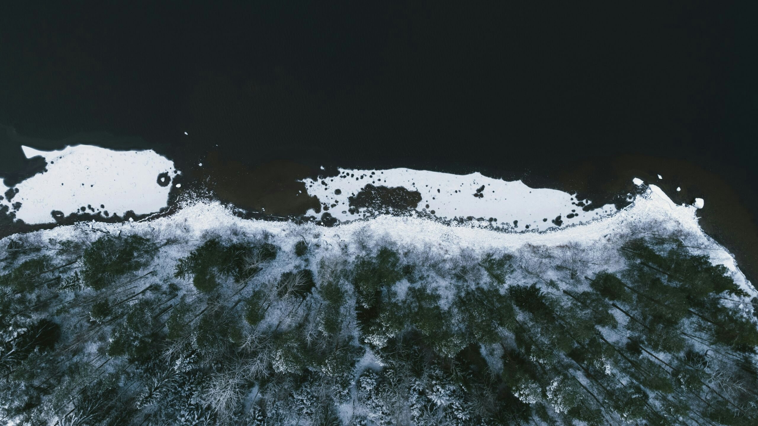 unsplash-community-gzqlwLUyCHY-unsplash