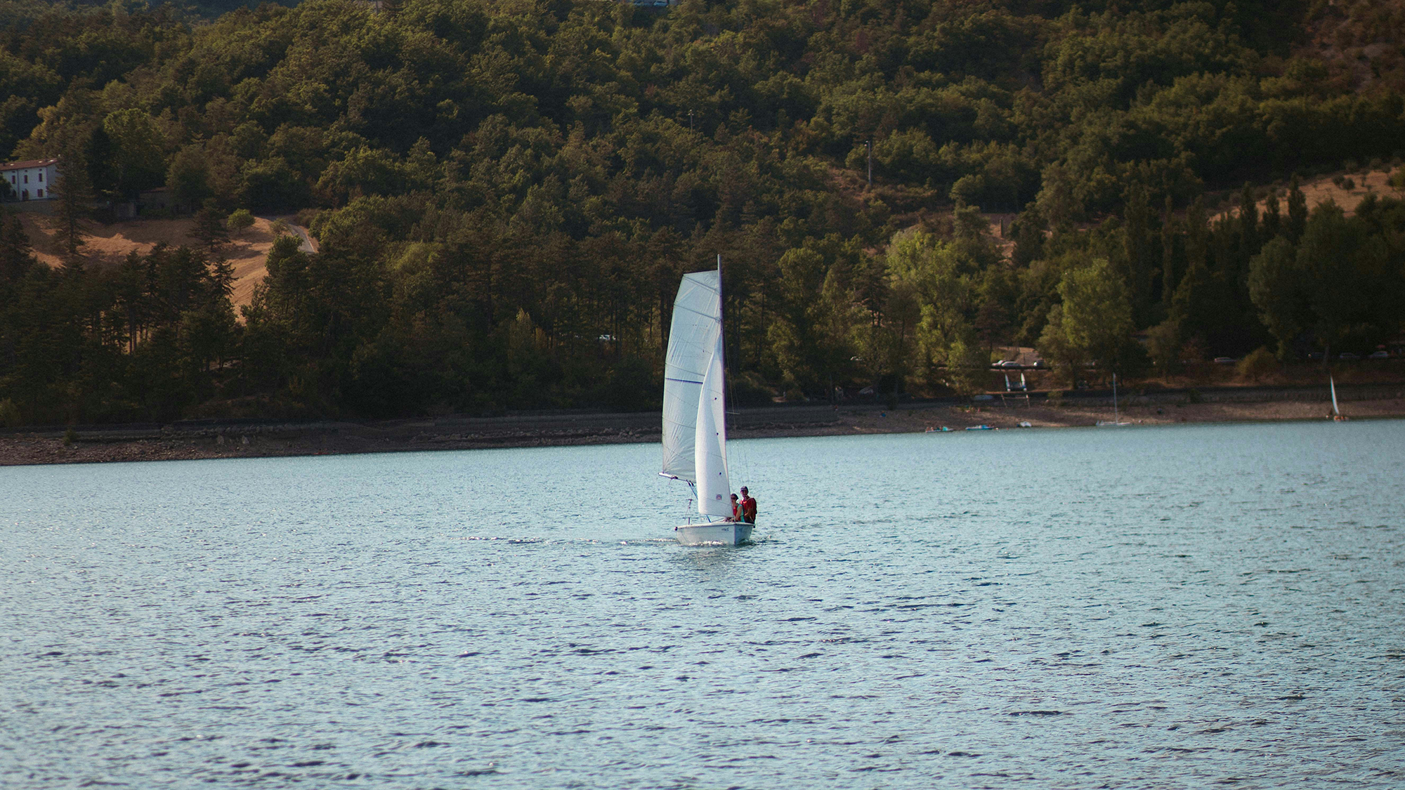 bruno-van-der-kraan-aoVK0hmugQg-unsplash copy