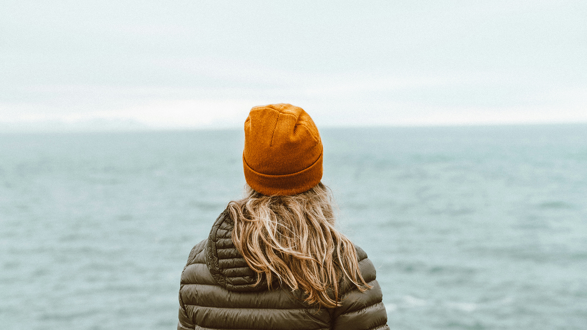 bruno-van-der-kraan-kwe6QcmNWWw-unsplash copy