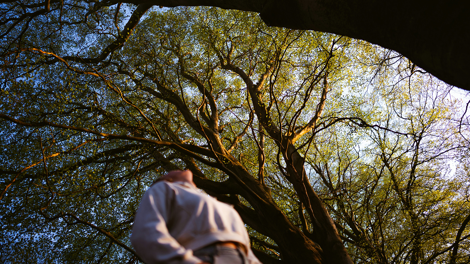 bruno-van-der-kraan-MclKIQgKbZU-unsplash copy