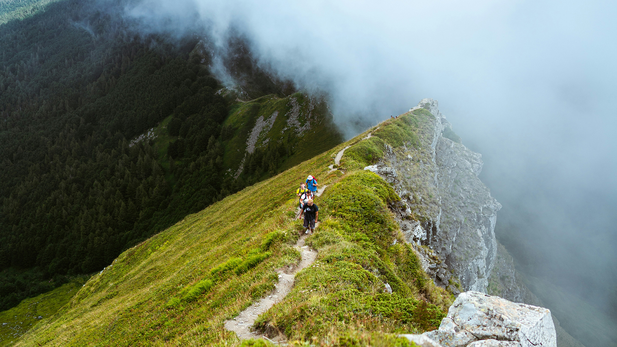 bruno-van-der-kraan-mEXedQi9GT0-unsplash copy