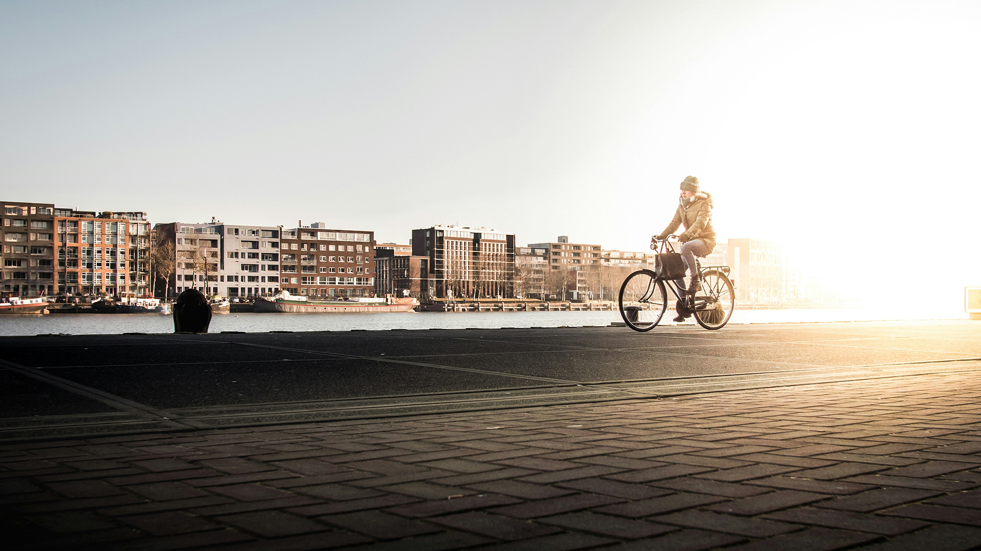 bruno-van-der-kraan-SAYtPK2YpIQ-unsplash copy