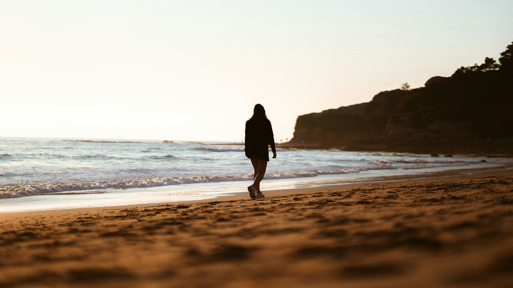 bruno-van-der-kraan-W6ufLR28Grs-unsplash copy