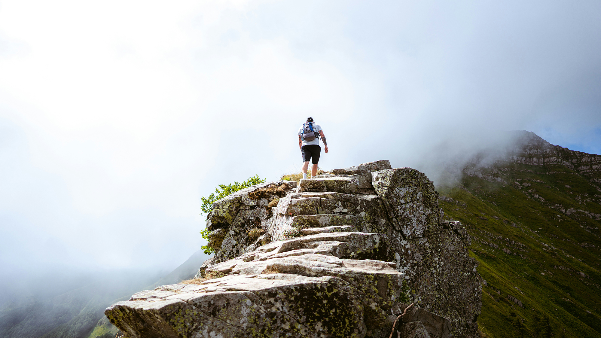 bruno-van-der-kraan-x1TXeAh6h80-unsplash copy