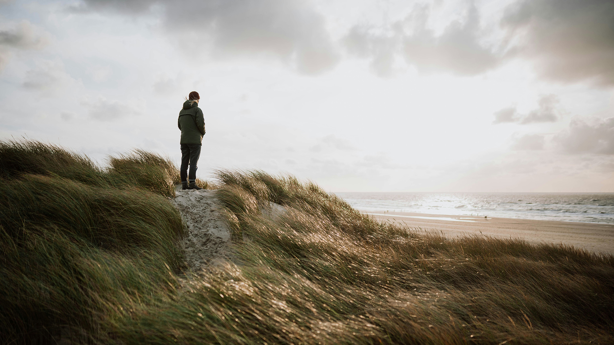 frank-van-hulst-Sew9nudIVek-unsplash copy 2