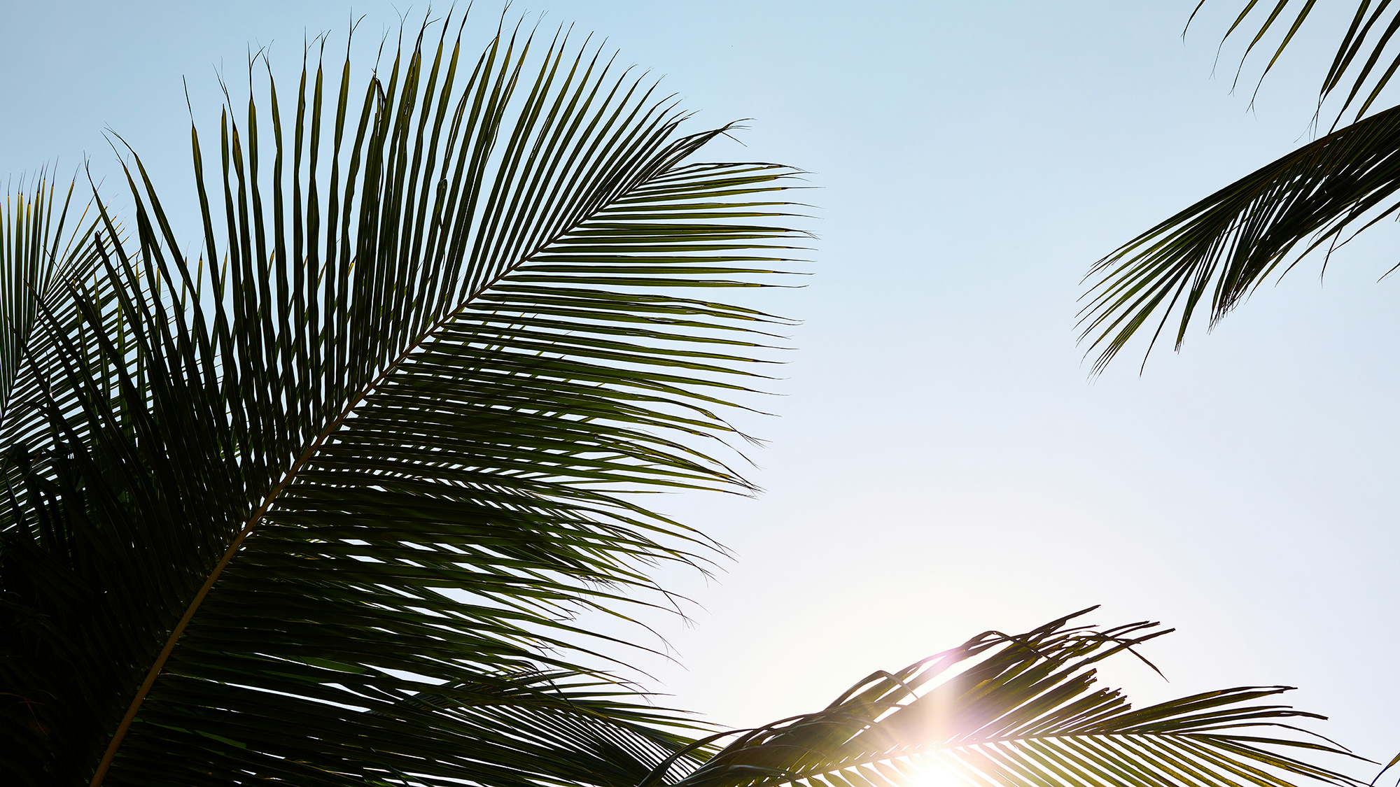 natalia-blauth-92t3avV0ioQ-unsplash copy