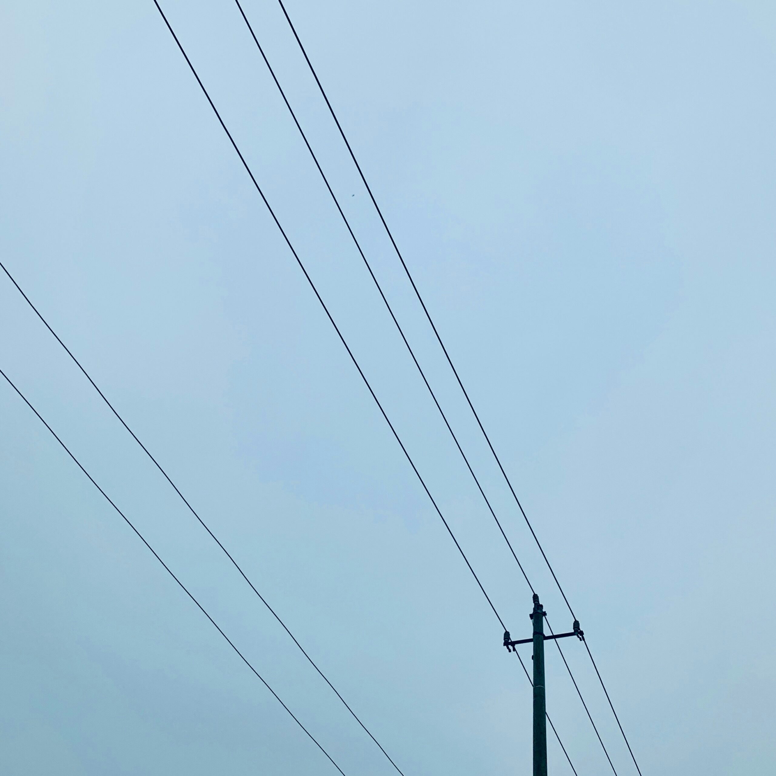 vincent-wong-5toQeJDgto0-unsplash