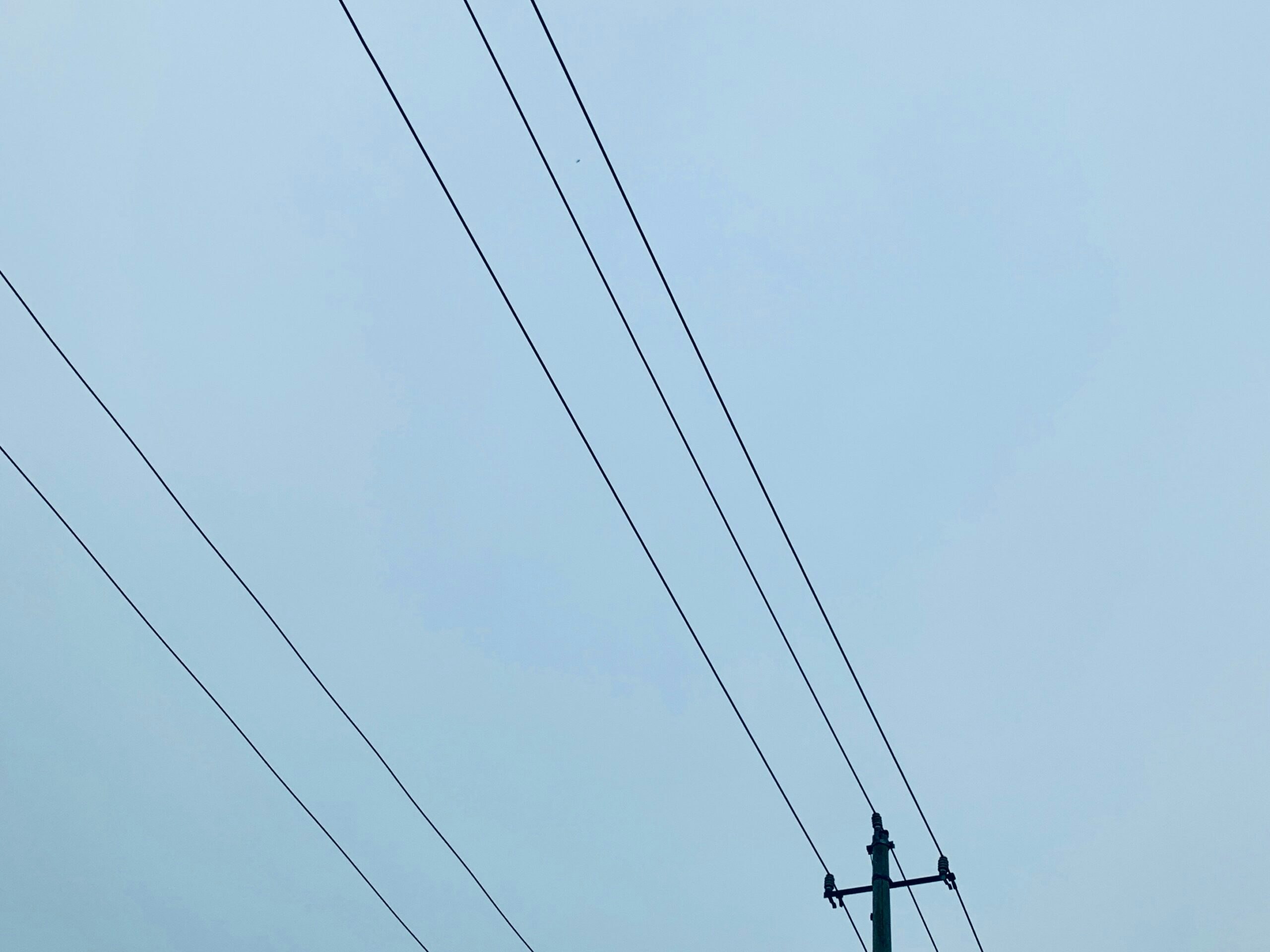 vincent-wong-5toQeJDgto0-unsplash